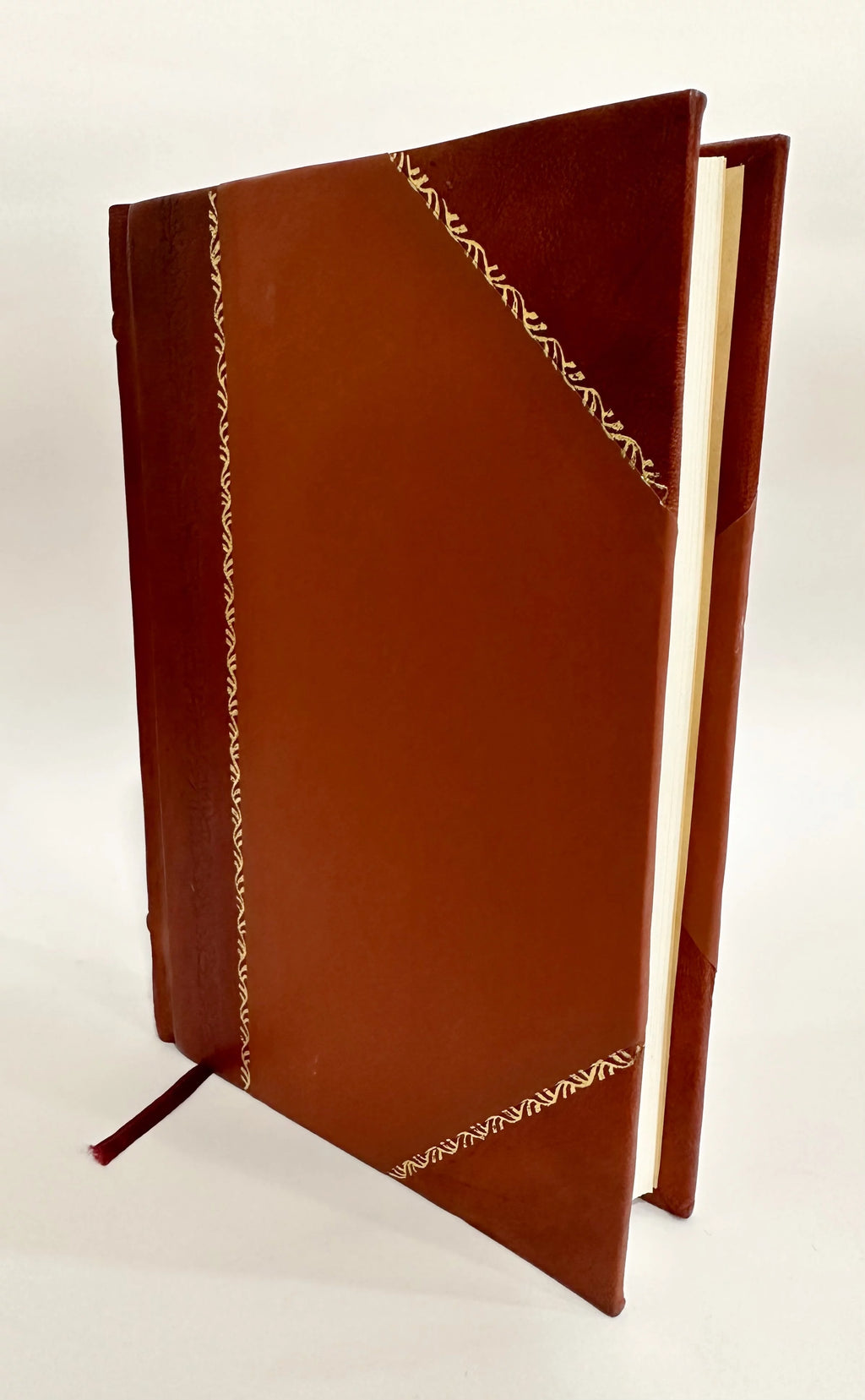 Women and Social Progress Leather Bound G69109
