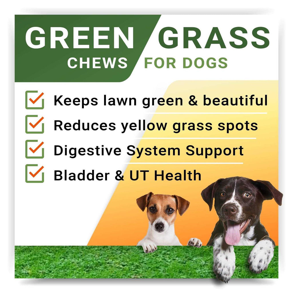 Grass Restore Treats for Dogs Y307545